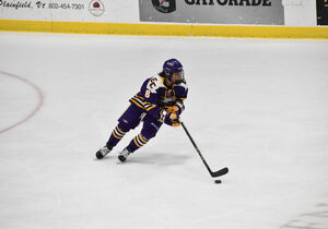 Elmira College Boy's & Girl's Ice Hockey Camp
