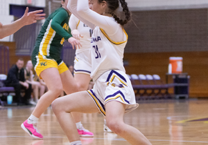 Elmira College Girl's Basketball Camp