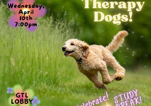 Therapy Dogs
