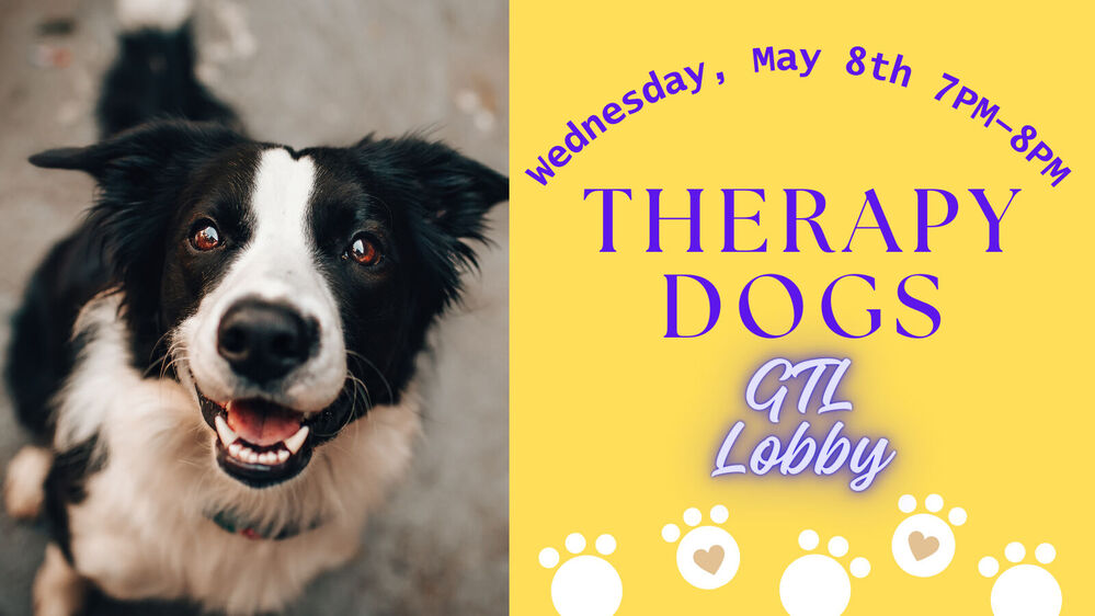 therapy-dogs