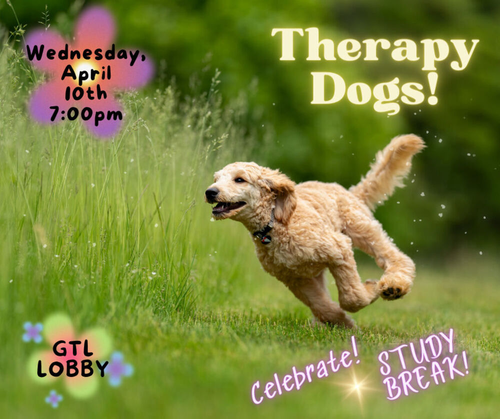therapy-dogs
