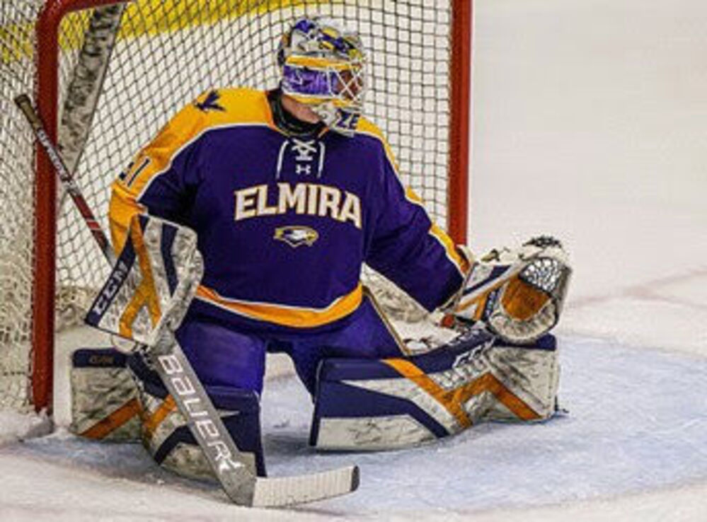 soaring-eagles-mens-ice-hockey-vs-neumann-university