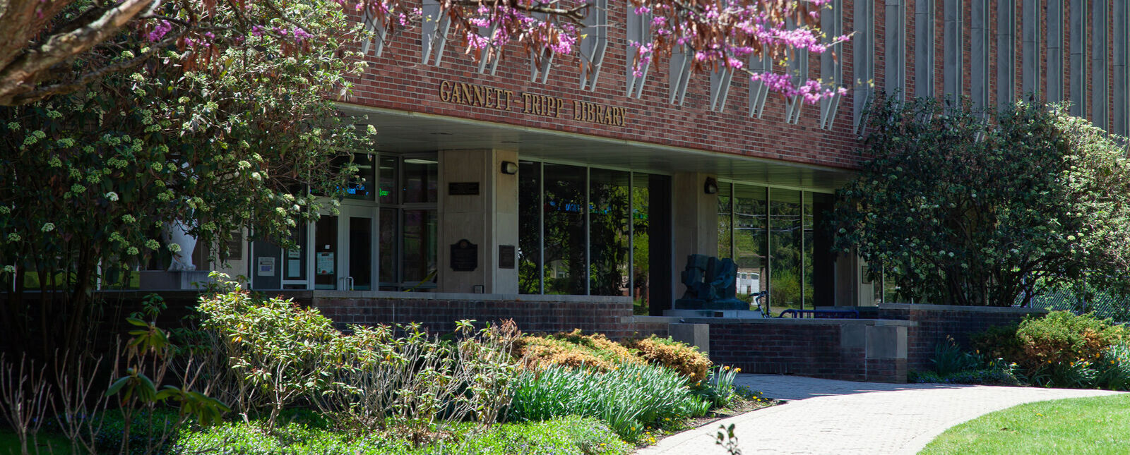 The exterior of the Gannett-Tripp Library