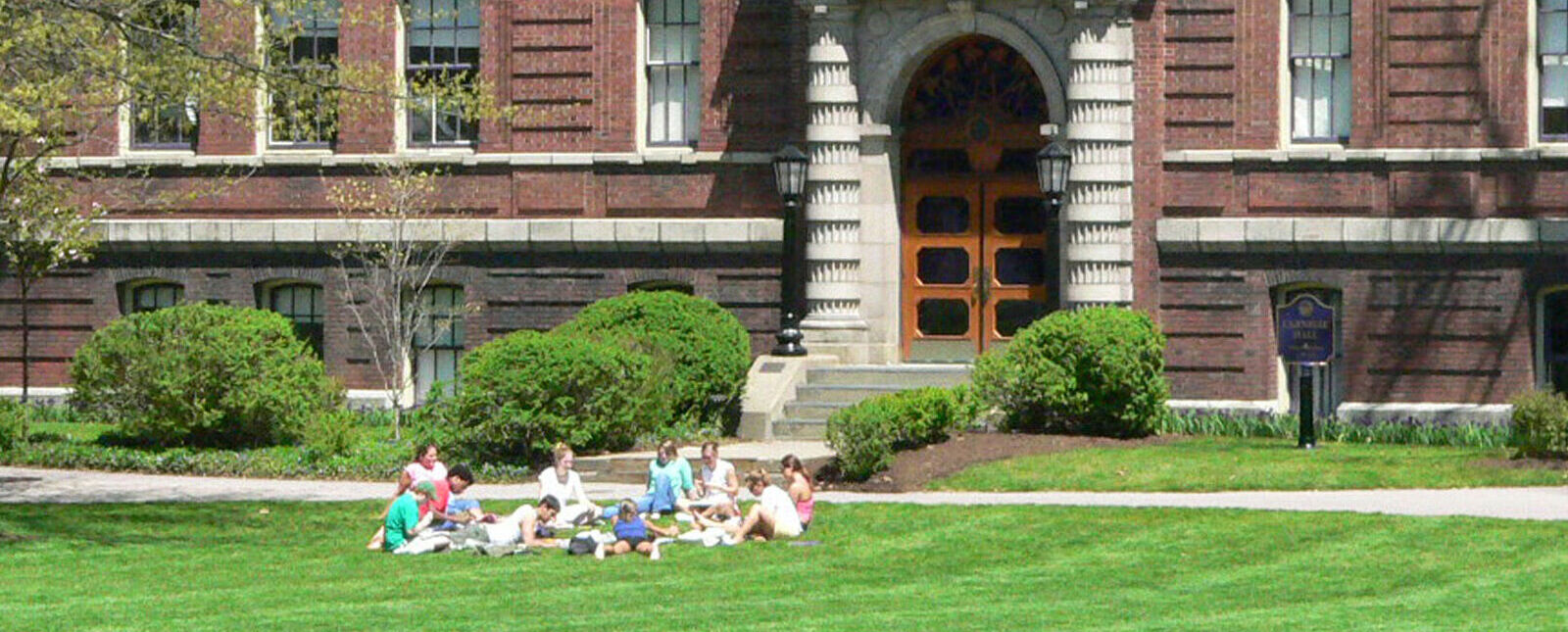 Students work together while sitting on the grass 