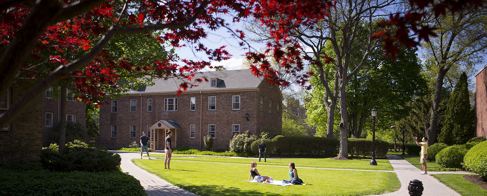Students sit on the grass while others play games on the grass by the Cottages