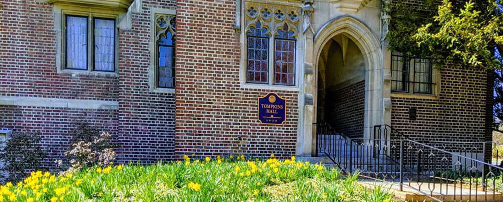 Yellow flowers bloom outside of the entrance to Tompkins Hall