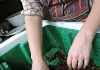 Planting the Seeds of Equity in Sustainable Living and Environmental Justice Course