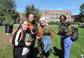 Welcome Wednesdays: To Join An LLC Or Not To Join An LLC