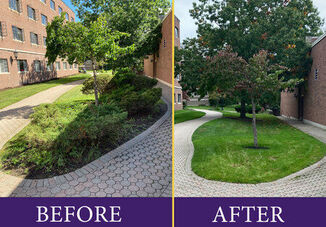 A Greener Campus For A Greener Future