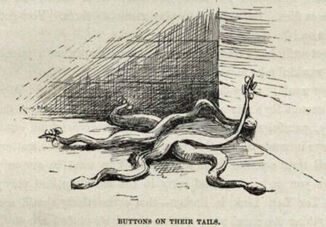 Fall 'Trouble Begins' Lecture Series Continues Oct. 27