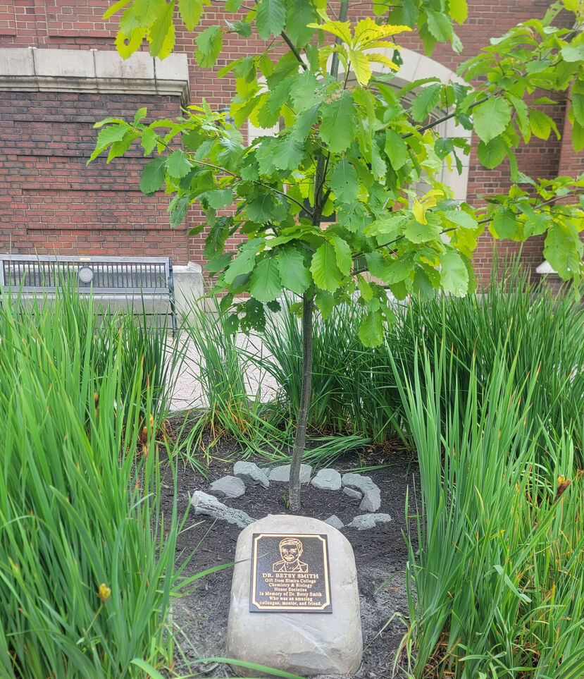 New Memorial Plaque Honors the Late Dr. Betsy Smith