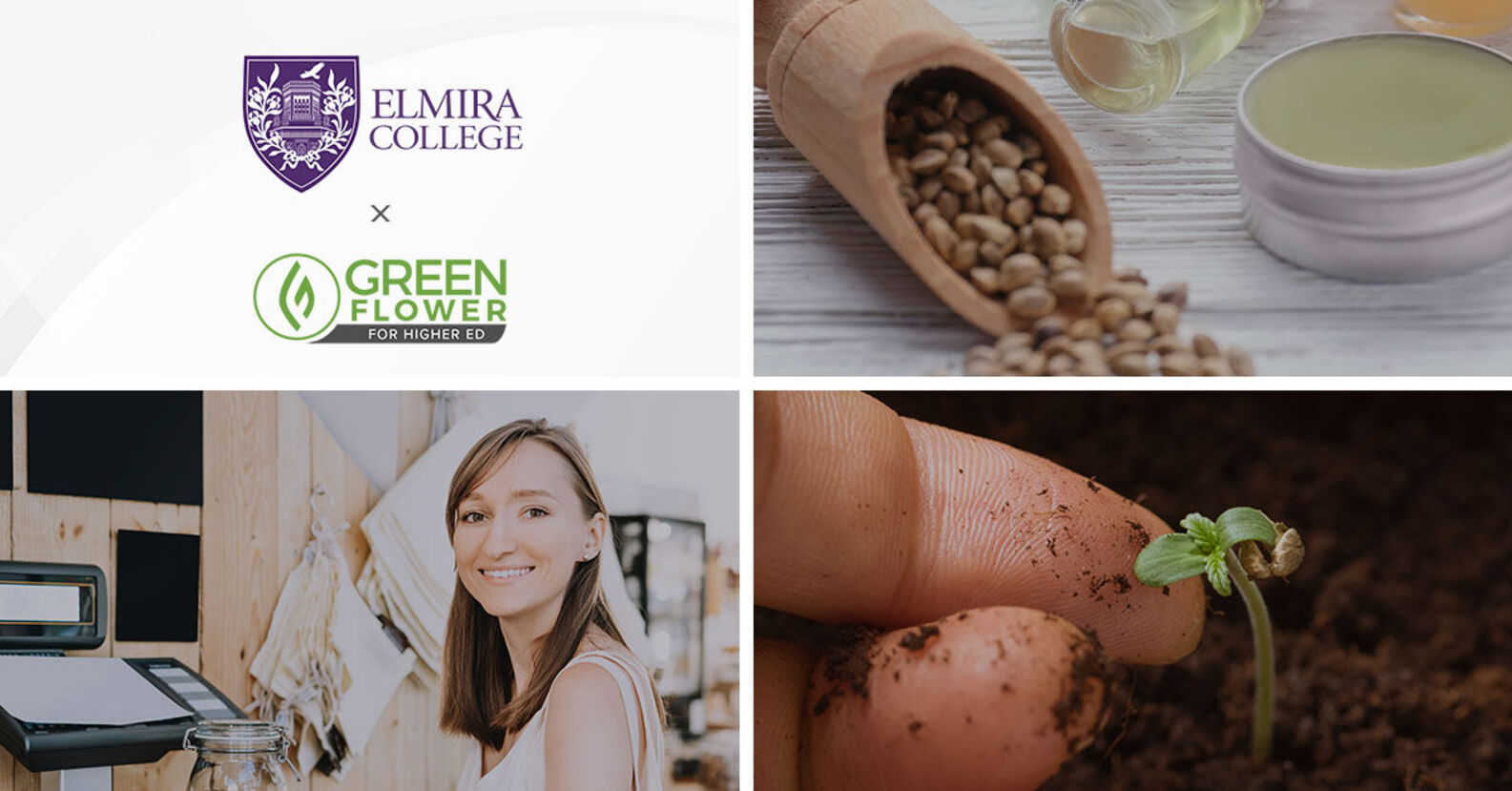 Elmira College Launches New Cannabis Career Certificate Programs in Partnership with Green Flower