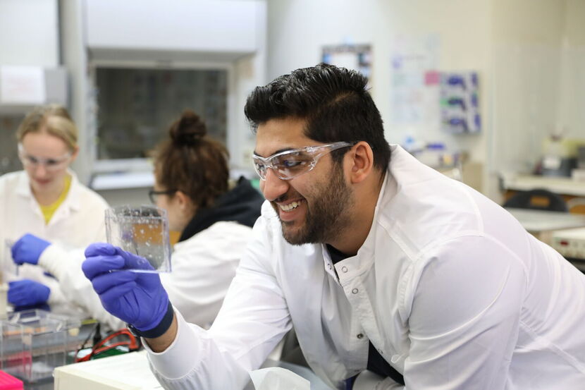 Elmira College Rolls Out Post-Baccalaureate Clinical Lab Sciences Program