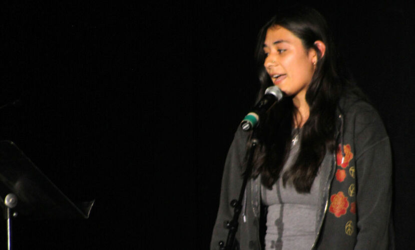 Stars of Elmira: Students and Community Unite for Talent Showcase