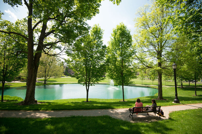 Elmira College Strengthens Commitment to Transfer Students with Take Flight Expansion