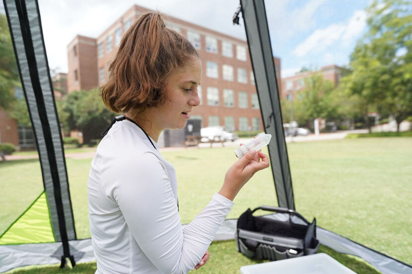 #SoaringToSuccess: How Rachel Bortnick Took Flight in Bee Science