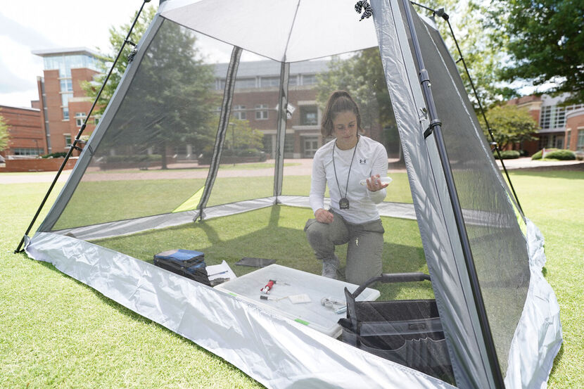 #SoaringToSuccess: How Rachel Bortnick Took Flight in Bee Science