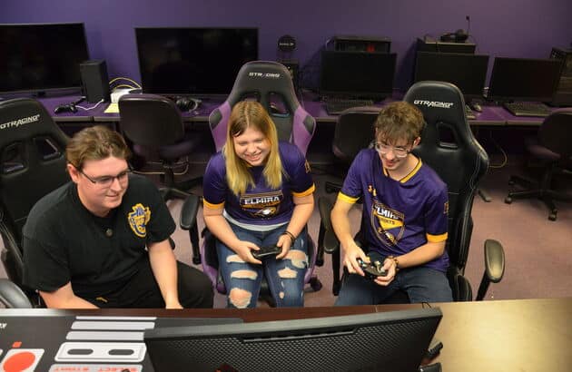 Esports and Gaming Administration Concentration
