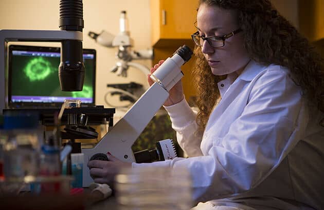 Molecular Concentration