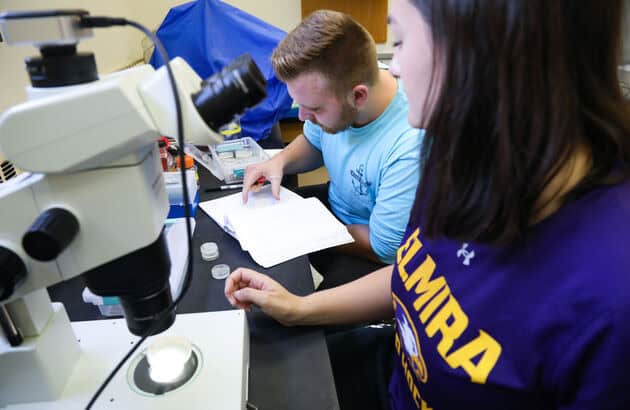 Early Acceptance and Graduate Programs