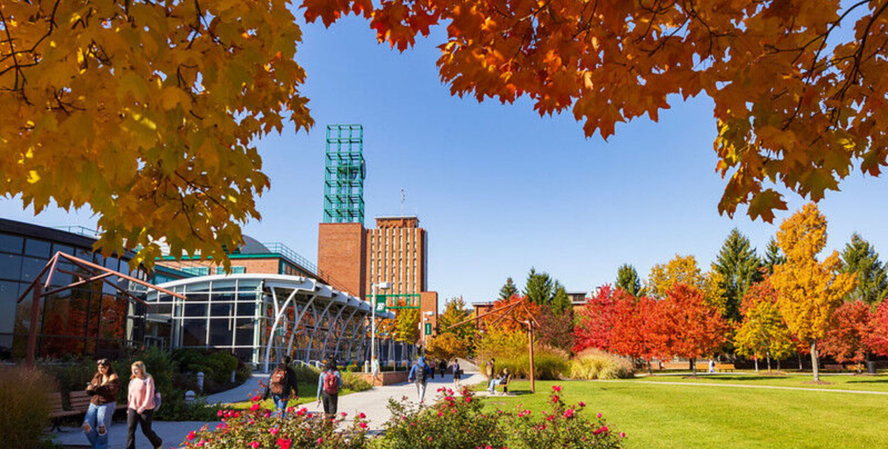 The campus of Binghamton University