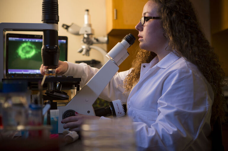 A biology student gets a sample ready to view in a microscope.
