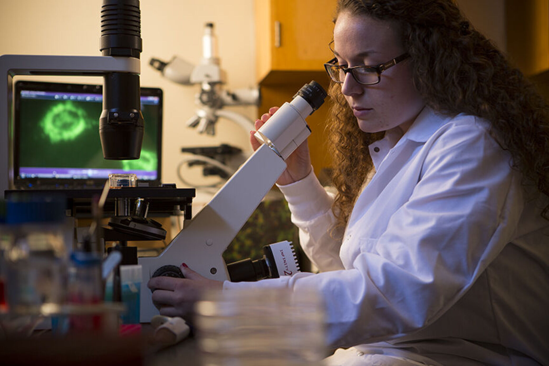 Biocelllab412