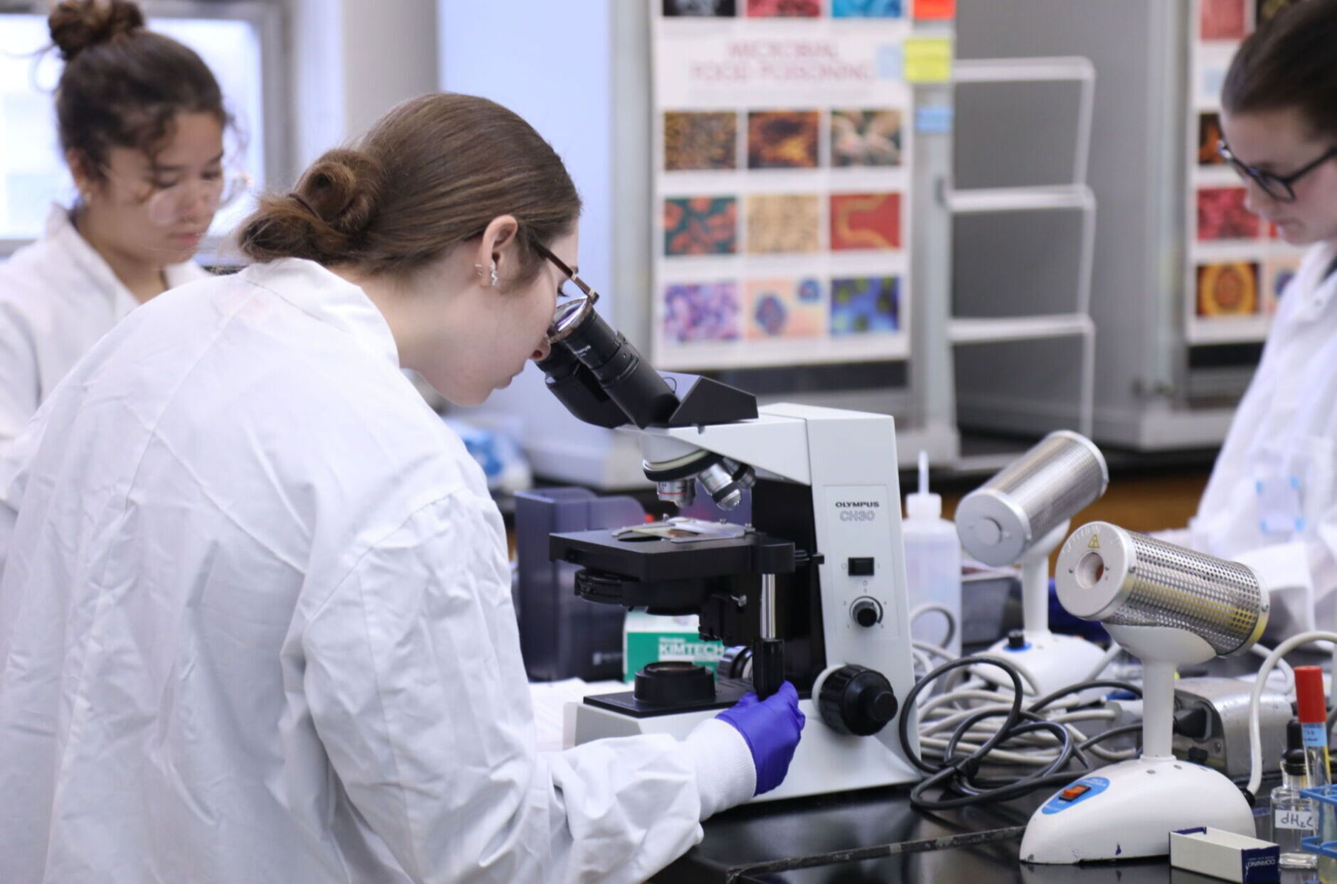 A student looks through a microscope in a laboratory