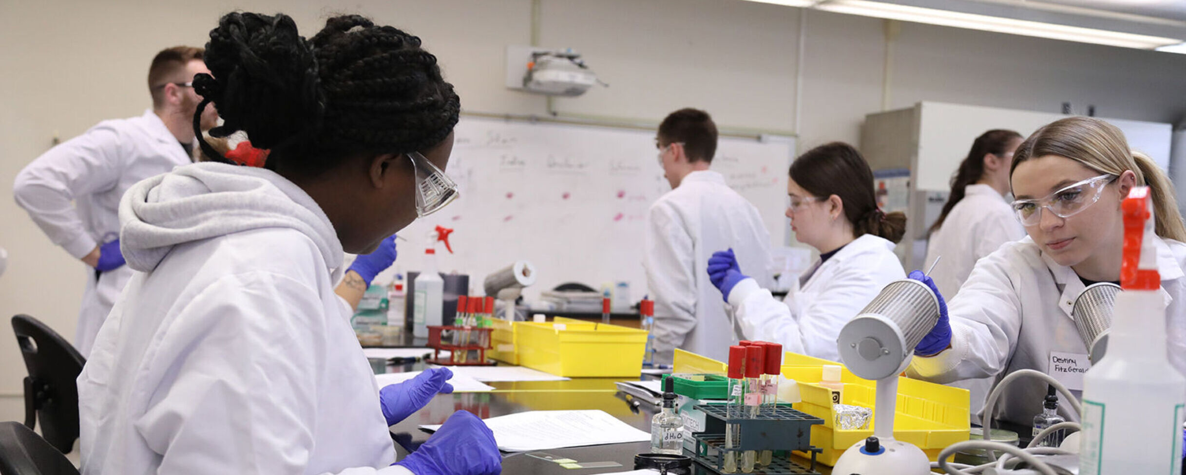 Students work on science lessons in a laboratory
