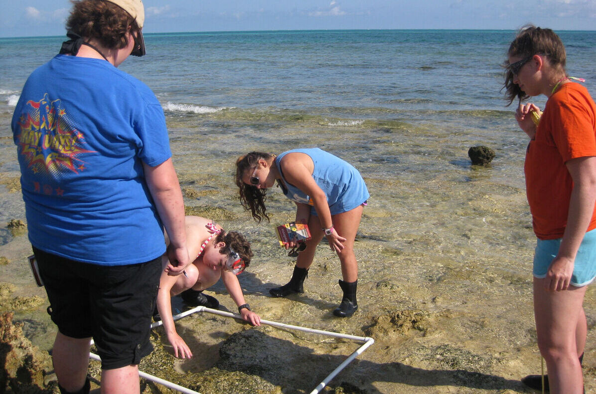 Students perform research on tide pooling in the Carribean