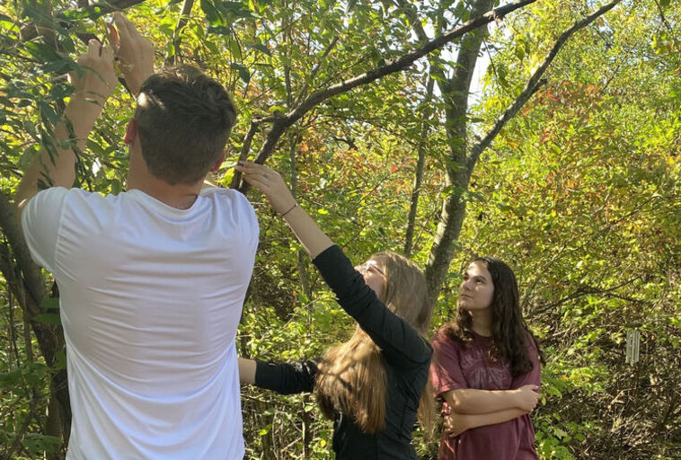 Students examine a tree as part of a science trip
