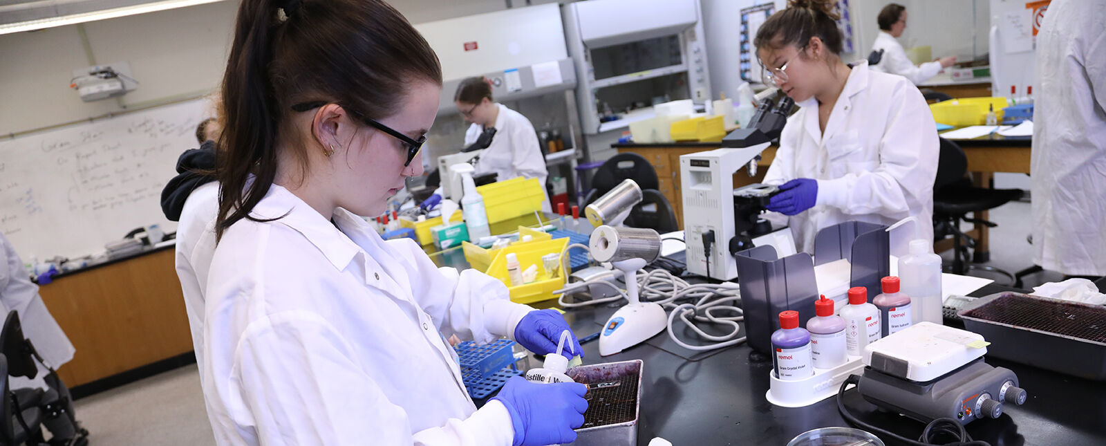 A female student works in a laboratory