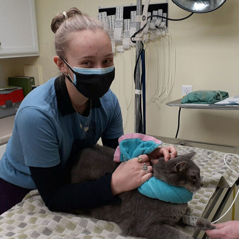Sarah Wilke '24: Pursuing her passion for animals